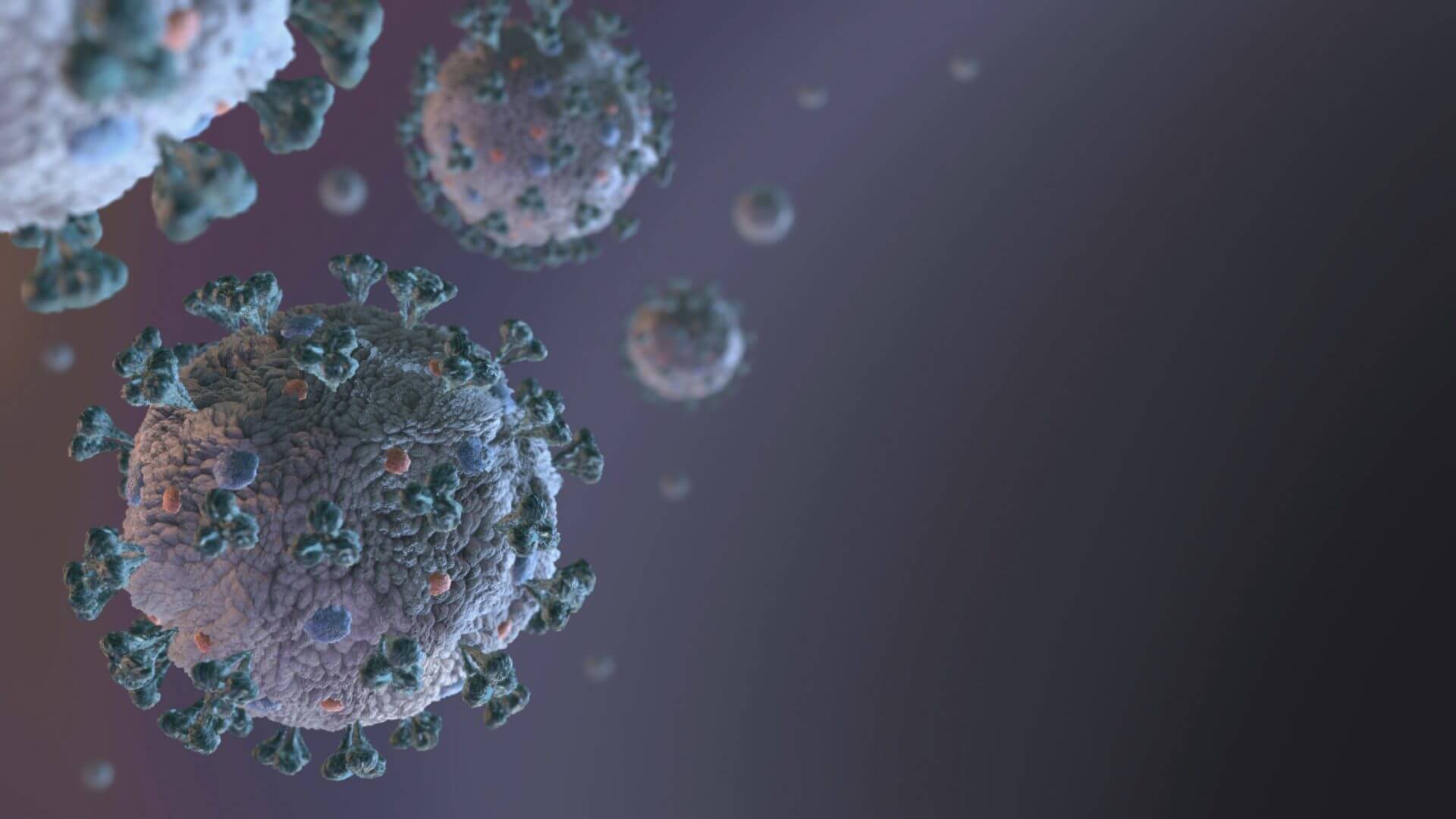 Procalcitonin and D-dimer in Patients with COVID-19